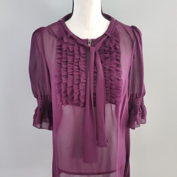 Twelve By Twelve Purple Sheer Ruffle Pullover Top M - Picture 4 of 9